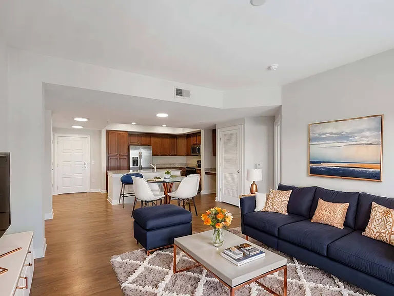 Seamless style from kitchen to living room