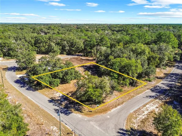 0 Guava Terrace Place & Bay Run Lot 1, Ocklawaha, FL 32179