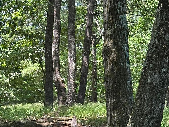 5th image of 00 Stone Ledge Road