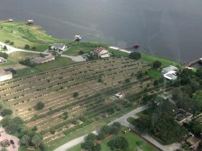 Remington Rd LOT 1, Winter Garden, FL, 34787