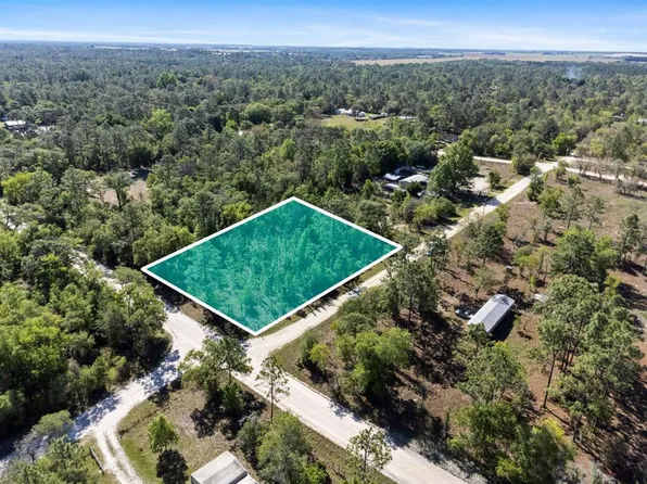 LOT 5 SE 138th Ter Lot 5, Morriston, FL 32668