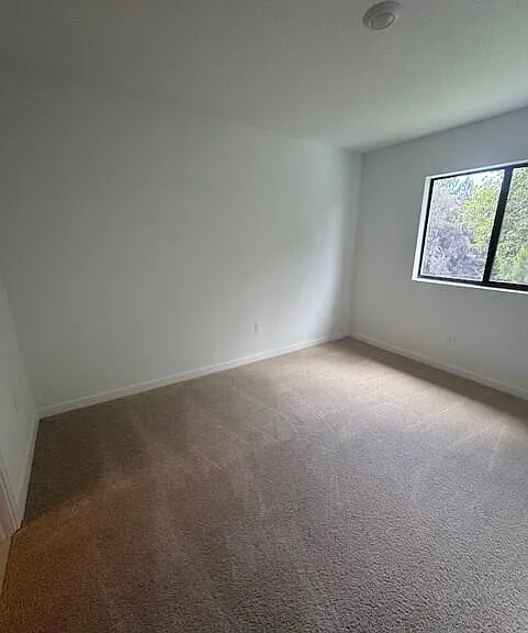 4844 Dillion St — Photo 5