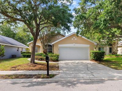 203 Wescliff Dr, Ocoee, FL, 34761
