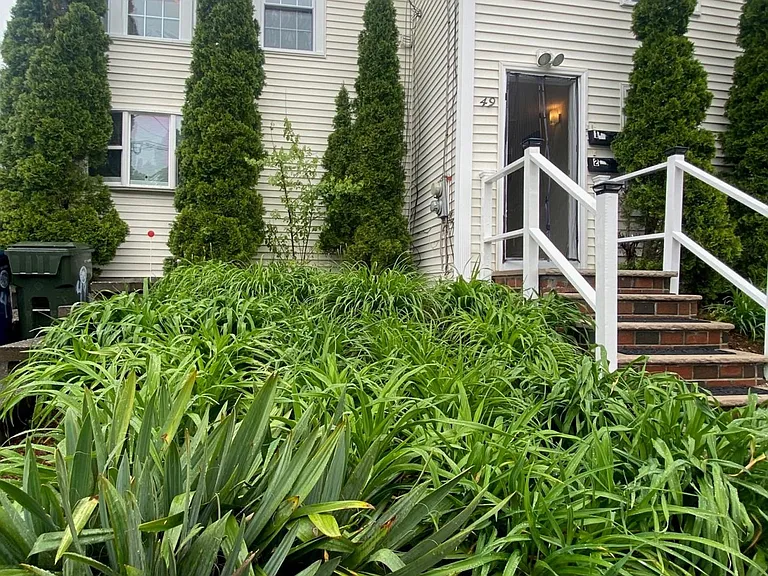 49 Devens St #2 — Photo 5