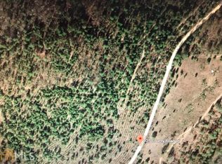 295 Rowe Rd, Mauk, GA 31058