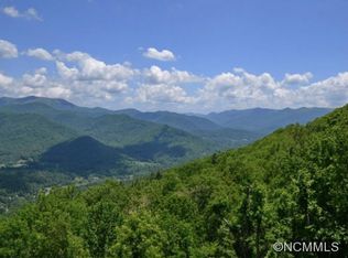 36 Cary Ln, Asheville, NC 28804