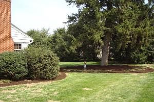4th image of 1235 Roanoke Blvd