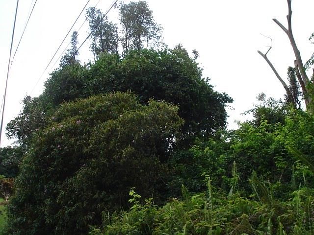 2nd image of Hilonani Dr Lot 38
