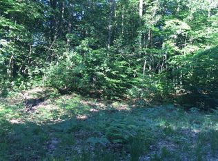 N Spencer Rd, Mears, MI 49436