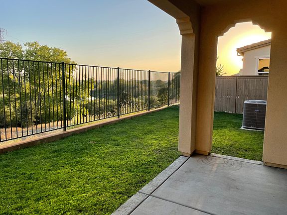 Back yard