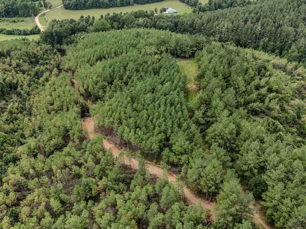 0 Big Opposum Creek Rd, Waynesboro, TN 38485