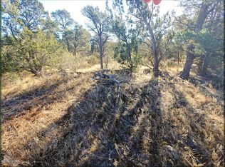 3355 Apache Dr, Overgaard, AZ 85933