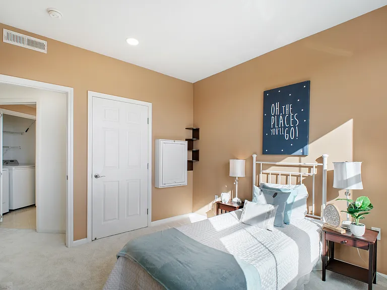 49002 Cinnamon Fern Cmn #402 — Photo 19