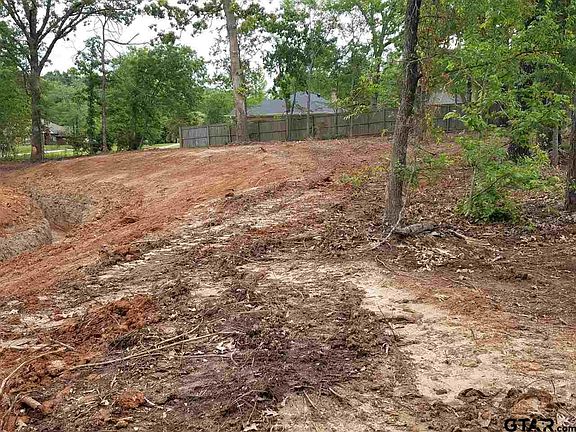 2nd image of LOT 8 County Road 2220