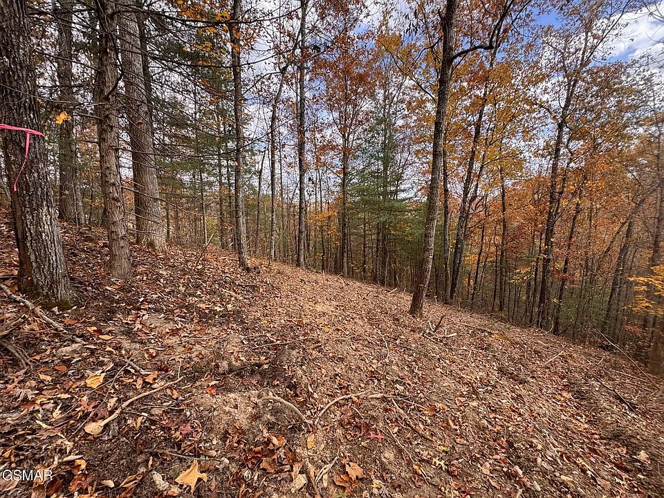 1st image of 42 Cedar Falls Way Lot 42