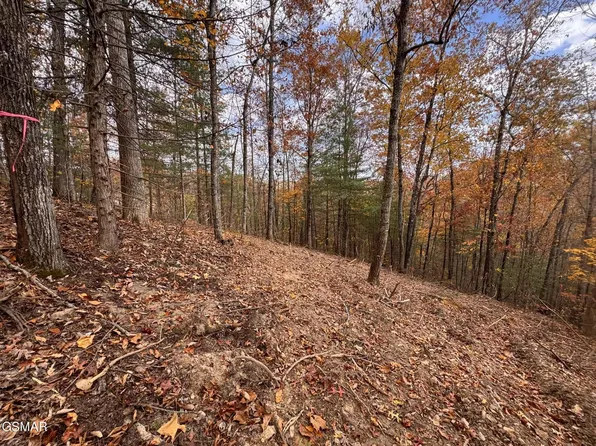 42 Cedar Falls Way Lot 42, Sevierville, TN 37862
