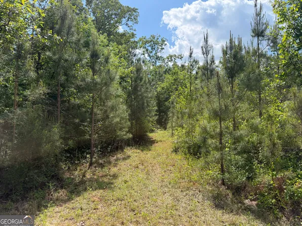 10 George Milling Rd, Cuthbert, GA 39840