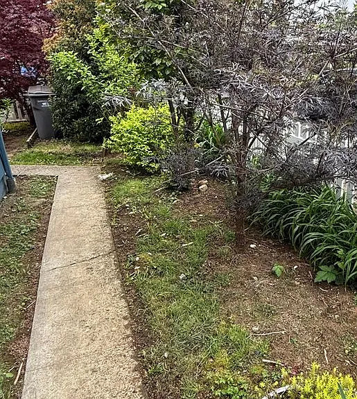 906 SE 165th Ave — Photo 35