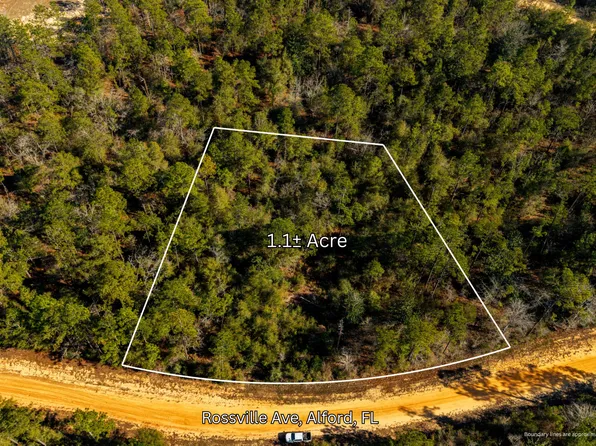 0 Rossvillie Ave, Alford, FL 32420