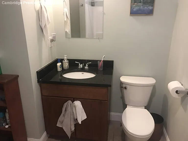 19 Calvin St #1 — Photo 6