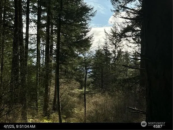 0 Eagle Lake Lane photo 1