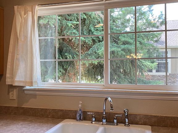Kitchen window looks out on an evergreen tree.
