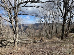 39 Ridge Top Cir, Clyde, NC 28721