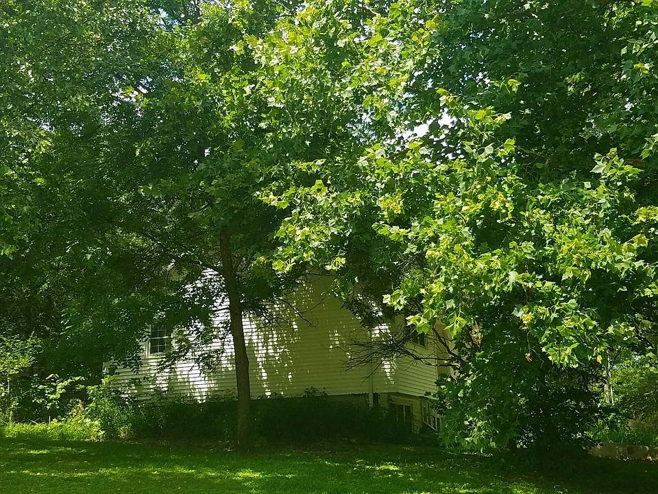 2nd image of 807 Willow Creek Dr
