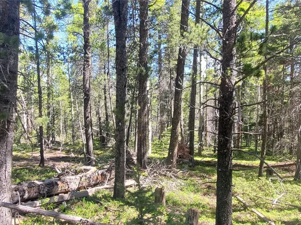 Lot 2914 Forbes Loop LOT 2914, Fort Garland, CO 81133
