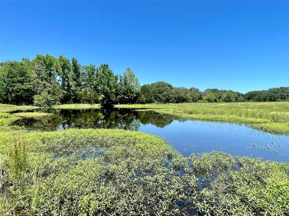 490 Vz County Road 4928 Tract #3, Ben Wheeler, TX 75754
