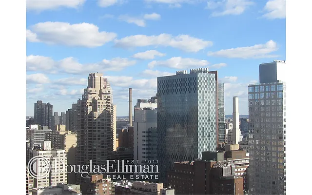 Sold by Douglas Elliman | media 29