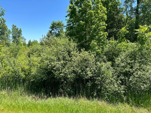0 N Lapeer Rd, North Branch, MI 48461