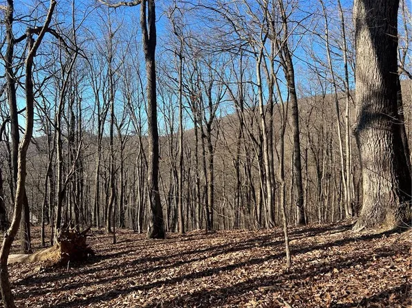 245 Sassafras Mountain Trl #4548, Jasper, GA 30143