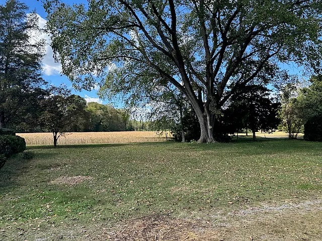6501 Normans Bridge Rd — Photo 4