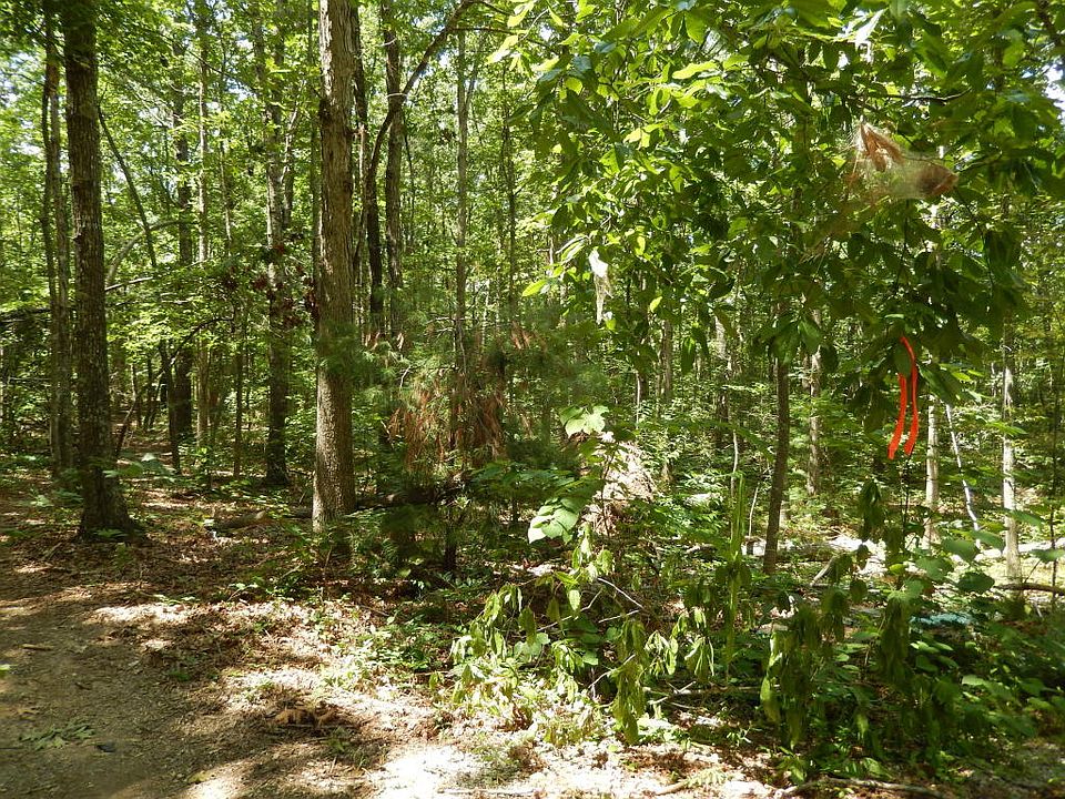 2nd image of 1037 Ewa Dr
