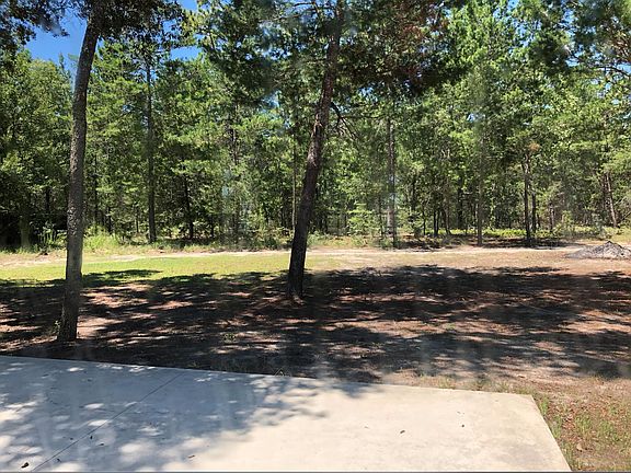 Backyard from the back patio