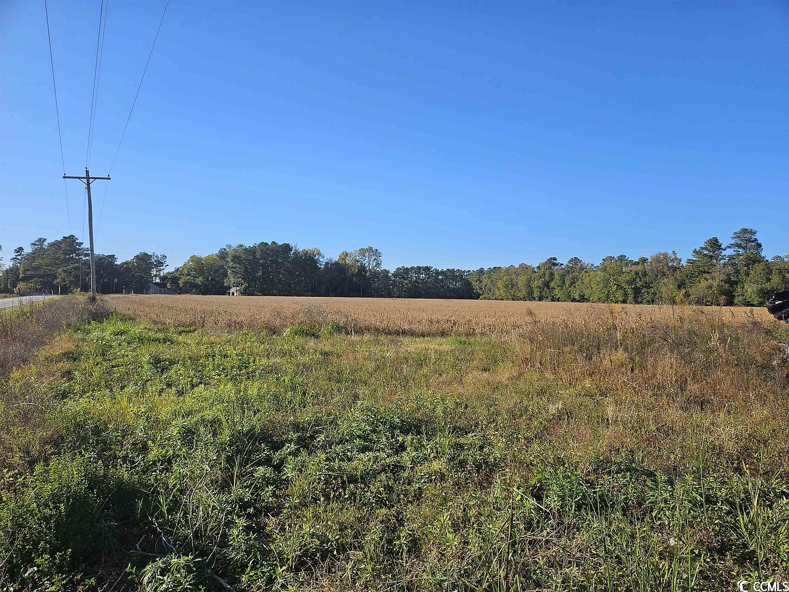 TBD Twin Lakes Rd., Cades, SC 29518 MLS 2322388 Zillow