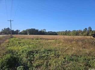 Twin Lakes Rd, Cades, SC 29518