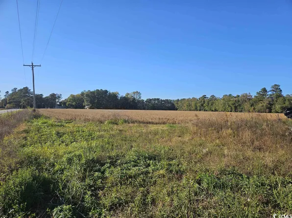 TBD Twin Lakes Rd., Cades, SC 29518