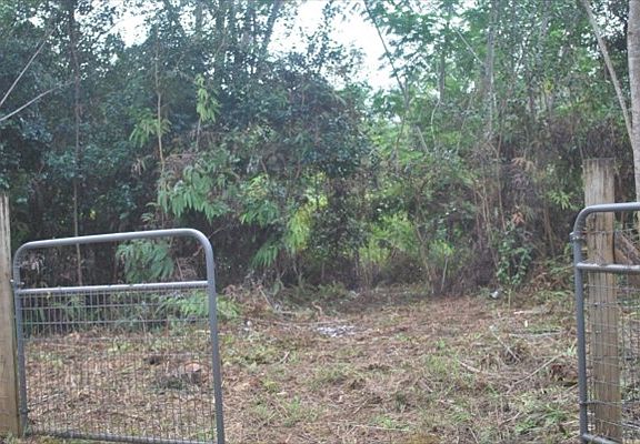 3rd image of 21st Ave Lot 383