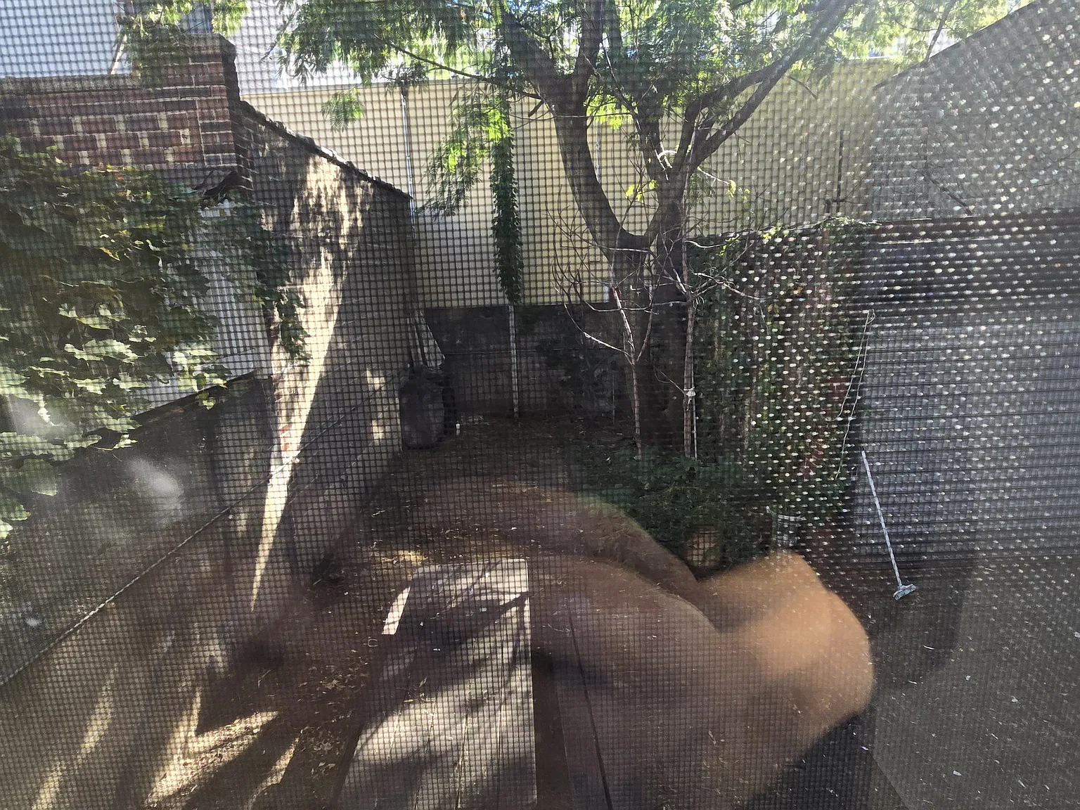 18-26 26th Road — Photo 3
