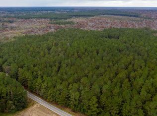 Old Pee Dee Road Road & Ports Crk, Hemingway, SC 29554
