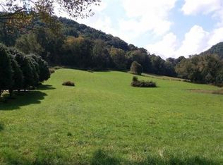 173 Old Highway 19e, Roan Mountain, TN 37687