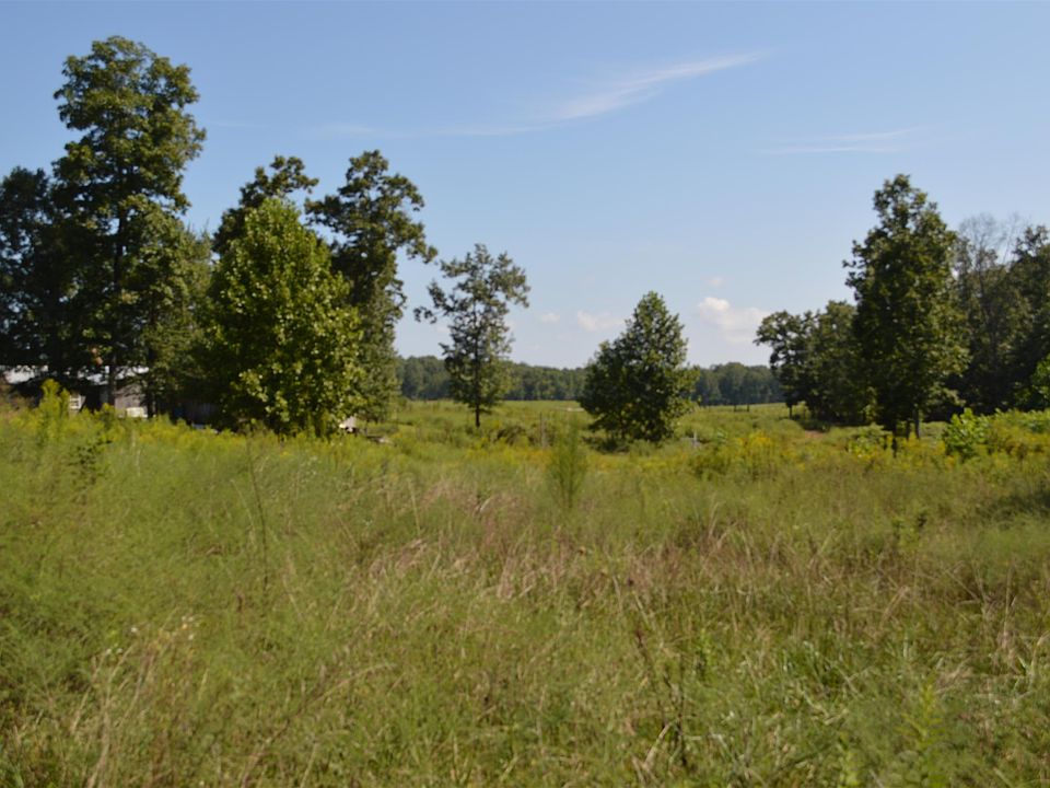 1st image of 245 Gipson Ln