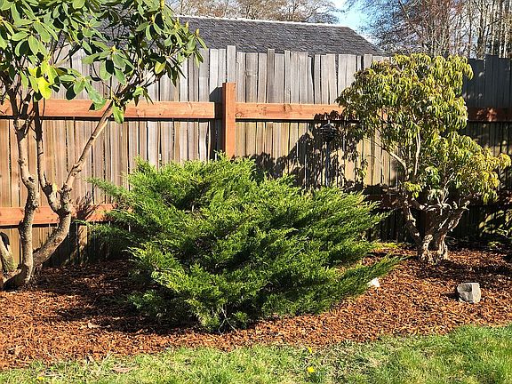 2nd image of 1516 Montview Dr