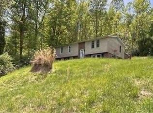 203 Roxel Ln, Grantsville, WV 26147