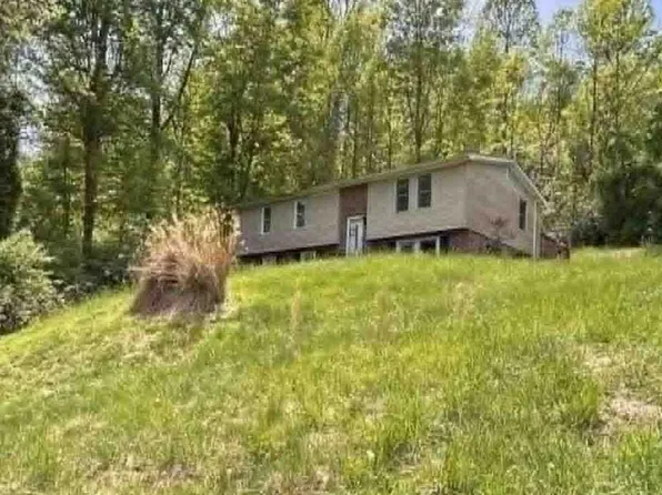 203 Roxel Ln, Grantsville, WV 26147