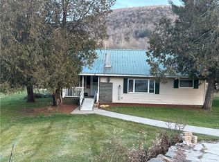13024 State Highway 30, Downsville, NY 13755