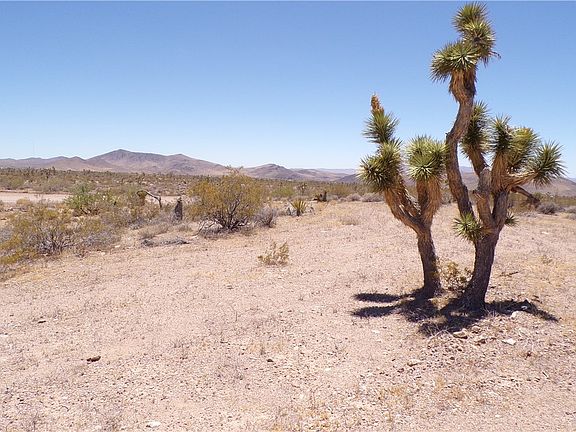 3rd image of 8577 W Indian Peak Drive