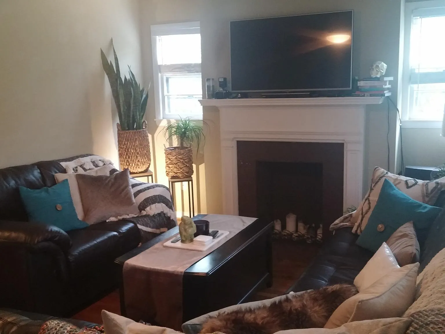 2 bed, 900 sqft, $1,650 — Photo 4